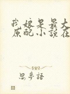 我娘是最大方的原配小说在线阅读