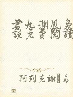 君九渊凤袅袅小说免费阅读