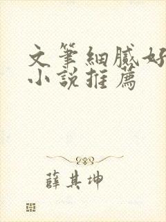 文笔细腻好看的小说推荐