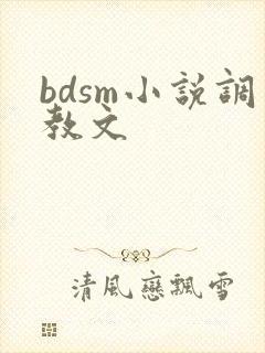 bdsm小说调教文