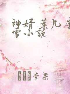 神婿 叶凡唐若雪小说