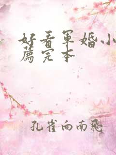 好看军婚小说推荐完本
