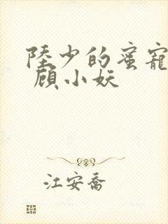 陆少的蜜宠甜妻 顾小妖