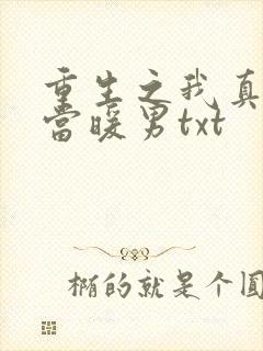 重生之我真没想当暖男txt