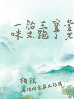 一胎三宝爹地妈咪又跑了免费阅读全文