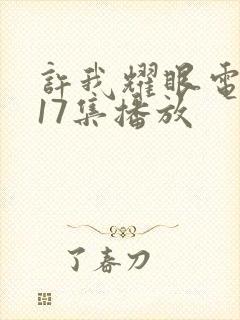 许我耀眼电视剧17集播放