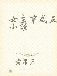 女主穿成反派的小说