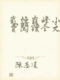 武炼巅峰小说免费阅读全文作者