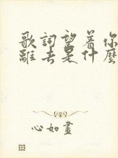 歌词望着你孤单离去是什么歌