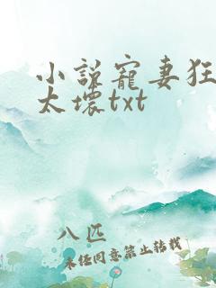 小说宠妻狂魔别太坏txt