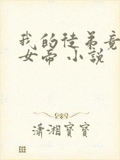 我的徒弟竟然是女帝 小说