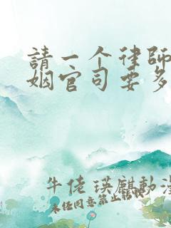 请一个律师打婚姻官司要多少钱