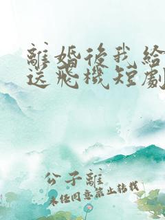 离婚后我给老婆送飞机短剧