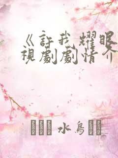 《许我耀眼》电视剧剧情介绍电视猫