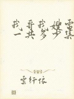 我哥我嫂电视剧一共多少集