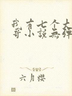 我有七个大佬哥哥小说无弹窗