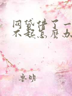 网贷借了一万还不起怎么办