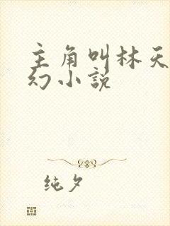 主角叫林天的玄幻小说