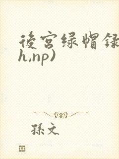 后宫绿帽录(高h,np)