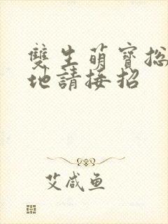 双生萌宝总裁爹地请接招