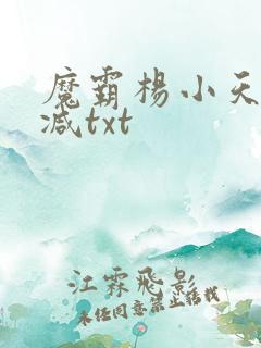 魔霸杨小天无删减txt