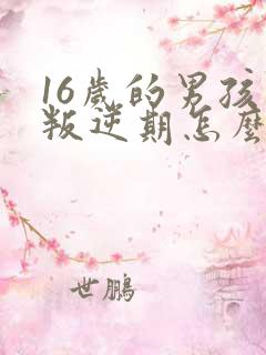 16岁的男孩子叛逆期怎么沟通