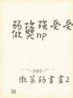 弱攻强受受把攻做哭np