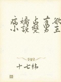 病娇占有欲强的小说双男主