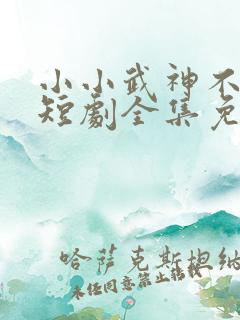 小小武神不好惹短剧全集免费