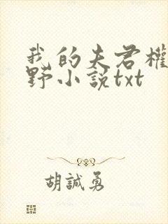 我的夫君权倾朝野小说txt