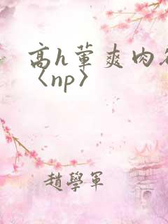 高h荤爽肉欲文〈np〉
