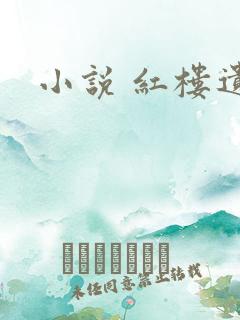 小说 红楼遗秘