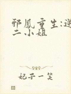 邪凤重生:逆天二小姐