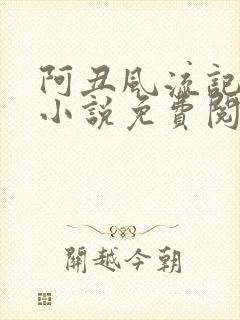 阿丑风流记原著小说免费阅读