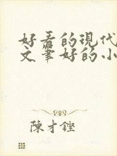 好看的现代言情文笔好的小说