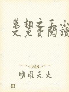 万相之王小说全文免费阅读无弹窗