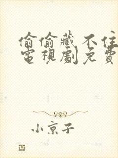 偷偷藏不住在线电视剧免费观看