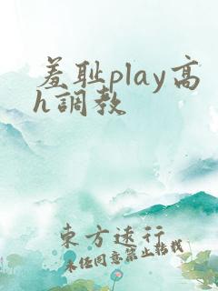 羞耻play高h调教
