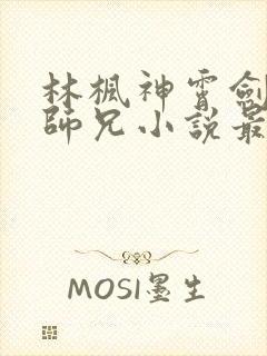 林枫神霄剑宗大师兄小说最新章节