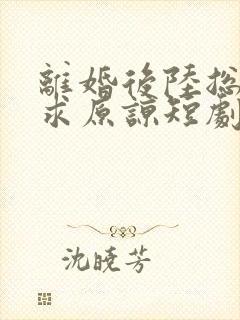 离婚后陆总跪着求原谅短剧免费观看