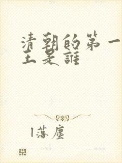 清朝的第一个帝王是谁