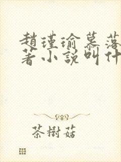 赵瑾瑜慕落雪原著小说叫什么名字