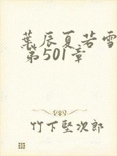 叶辰夏若雪孙怡 第501章