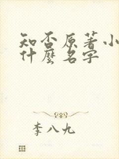 知否原著小说叫什么名字