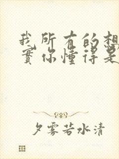 我所有的想法其实你懂得是什么歌