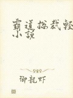 霸道总裁轻点爱小说