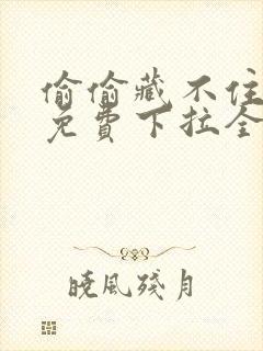 偷偷藏不住漫画免费下拉全集