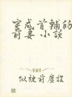 穿成首辅的炮灰前妻 小说