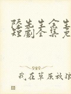 陆先生余生不见短剧全集免费观看