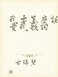 我要怎么说你才爱我歌词